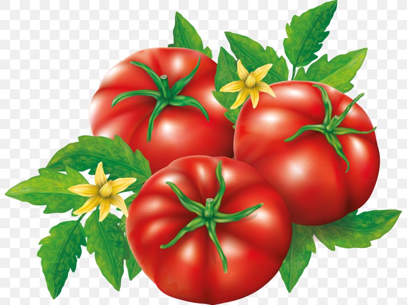 Plum Tomato Bush Tomato Patty Pan Vegetable, PNG, 800x615px, Plum Tomato, Apple, Bush Tomato, Cherry, Cooking Download Free