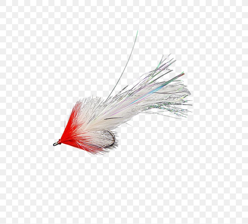 Sea Trout Redfish Fishing Bait Sockeye Salmon, PNG, 555x741px, Trout, Bait, Blue, Feather, Fishing Download Free