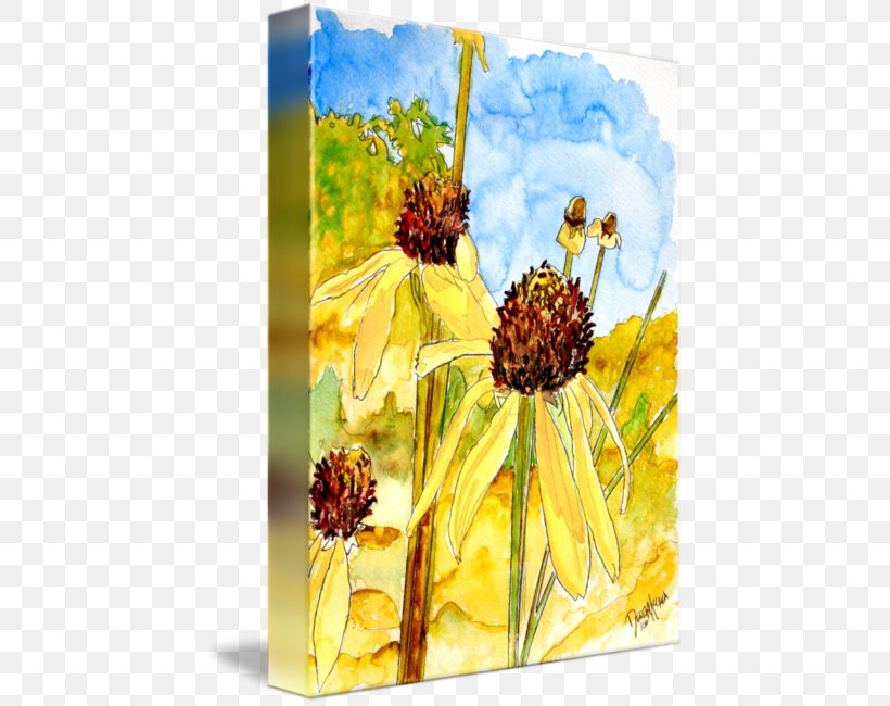 Watercolor Painting Yellow Coneflower Art, PNG, 442x650px, Painting, Abstract Art, Art, Canvas, Canvas Print Download Free