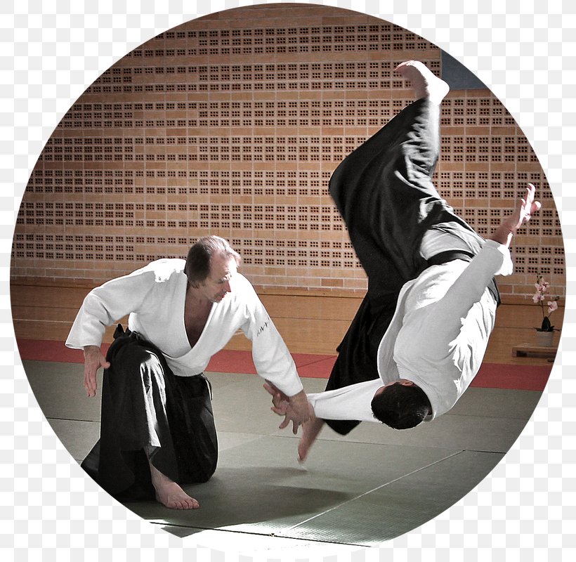 Aikido The Art Of Peace Shoshin Dojo Hamburg Martial Arts, PNG, 800x800px, Aikido, Aikikai, Art Of Peace, Dojo, Hapkido Download Free