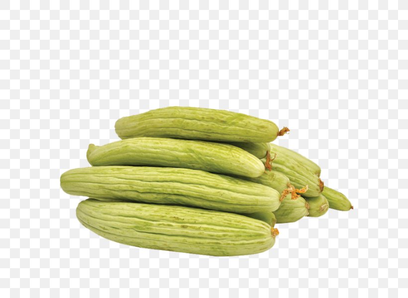 Armenian Cucumber Vegetarian Cuisine Pickled Cucumber Cucurbita Pepo Var. Cylindrica, PNG, 600x600px, Cucumber, Agriculture, Archaeology, Armenian Cucumber, Cucumber Gourd And Melon Family Download Free