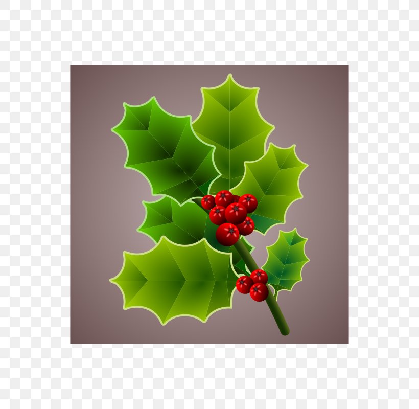 Christmas Common Holly, PNG, 566x800px, Christmas, Aquifoliaceae, Aquifoliales, Christmas Decoration, Christmas Ornament Download Free