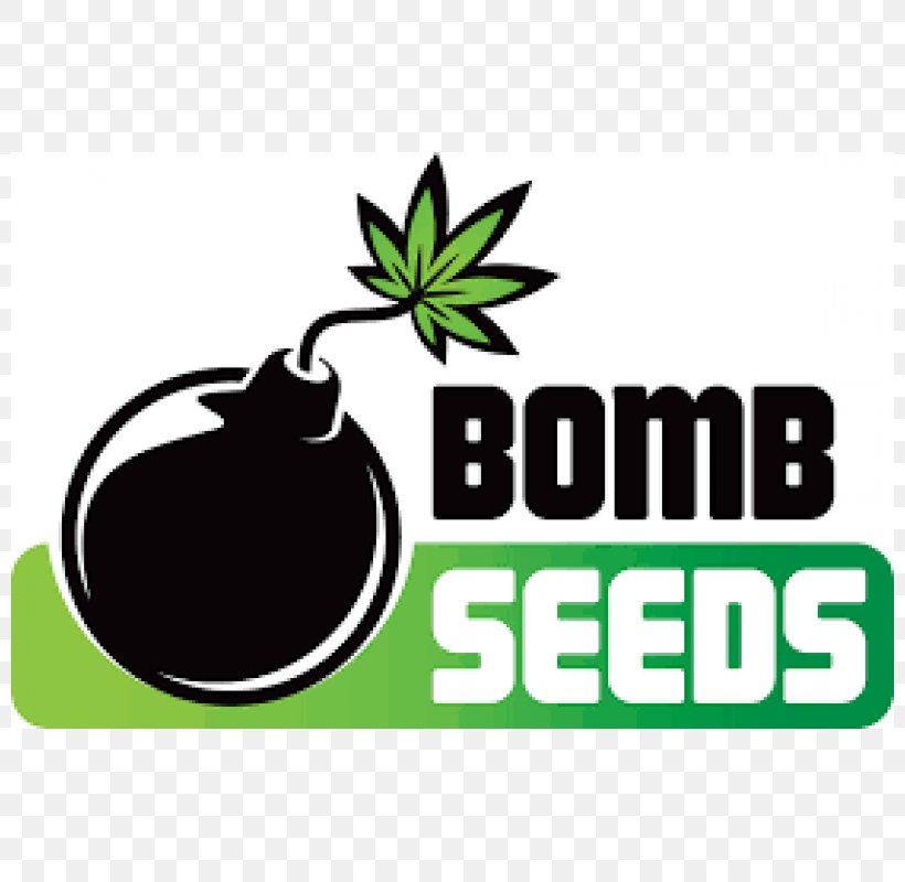 Seed Bank Autoflowering Cannabis Medical Cannabis, PNG, 800x800px, Seed, Area, Artwork, Autoflowering Cannabis, Bomb Download Free