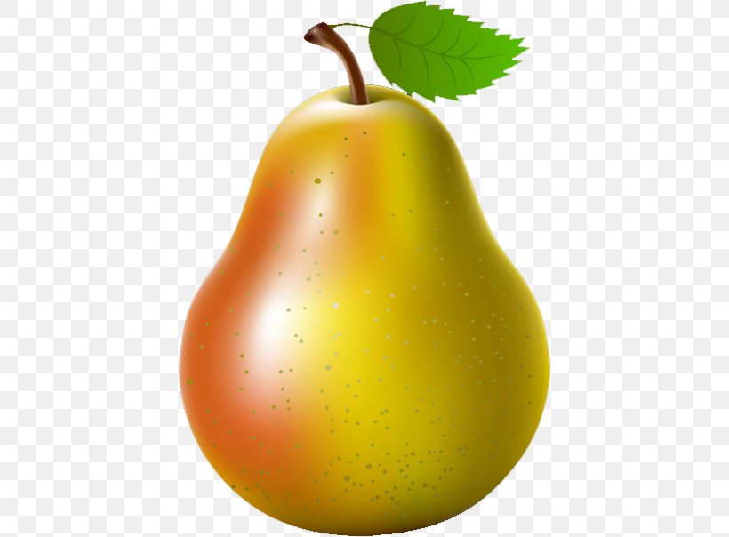 Asian Pear Fruit Clip Art, PNG, 418x604px, Asian Pear, Apple, Can Stock Photo, Diet Food, Drawing Download Free