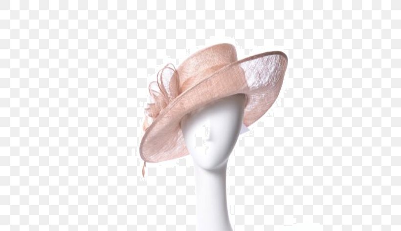 Hat Shoe, PNG, 600x473px, Hat, Headgear, Shoe Download Free