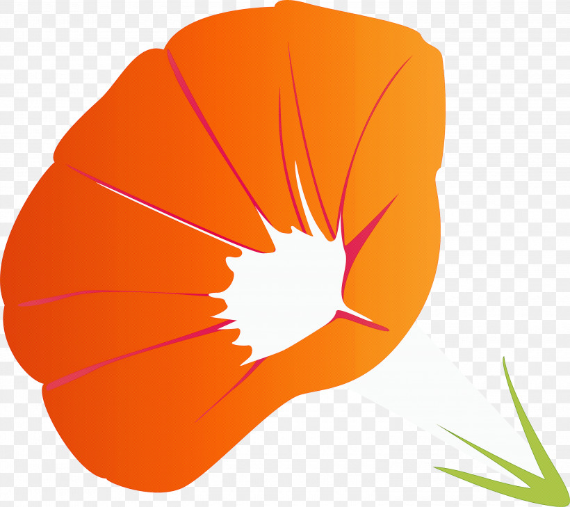Morning Glory Flower, PNG, 3000x2669px, Morning Glory Flower, Flower, Leaf, Morning Glory, Orange Download Free