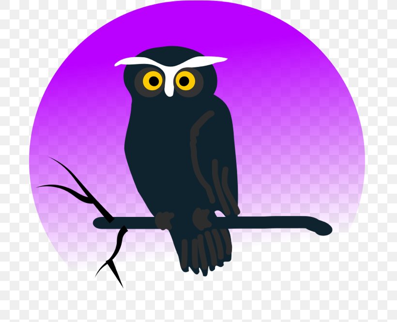 Owl Animation Clip Art, PNG, 700x665px, Owl, Animation, Barn Owl, Barred Owl, Beak Download Free