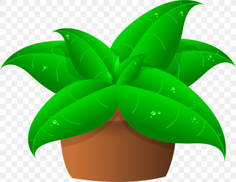 Plant Cattleya Orchids Clip Art, PNG, 2042x1574px, Plant, Carnivorous Plant, Cattleya Orchids, Green, Houseplant Download Free