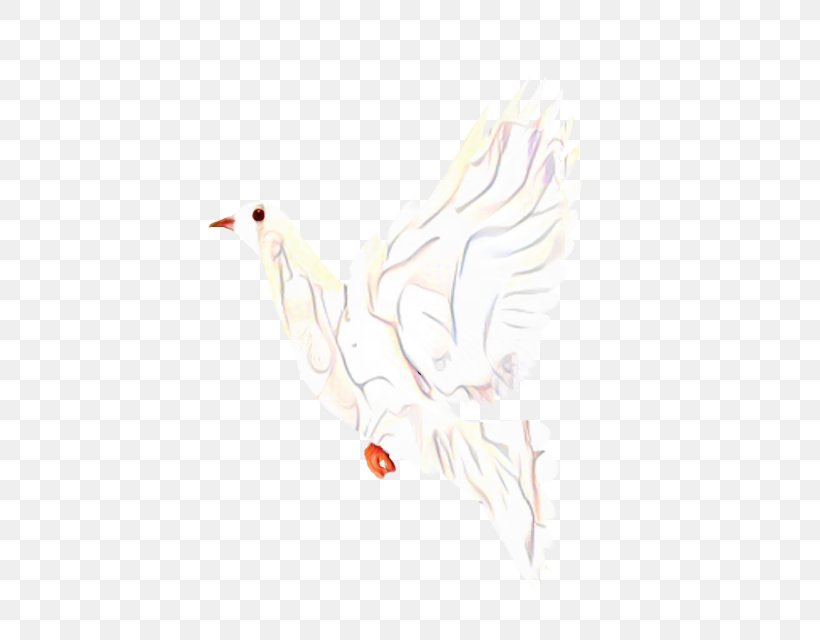 Cartoon Bird, PNG, 557x640px, Chicken, Beak, Bird, Character, Drawing Download Free