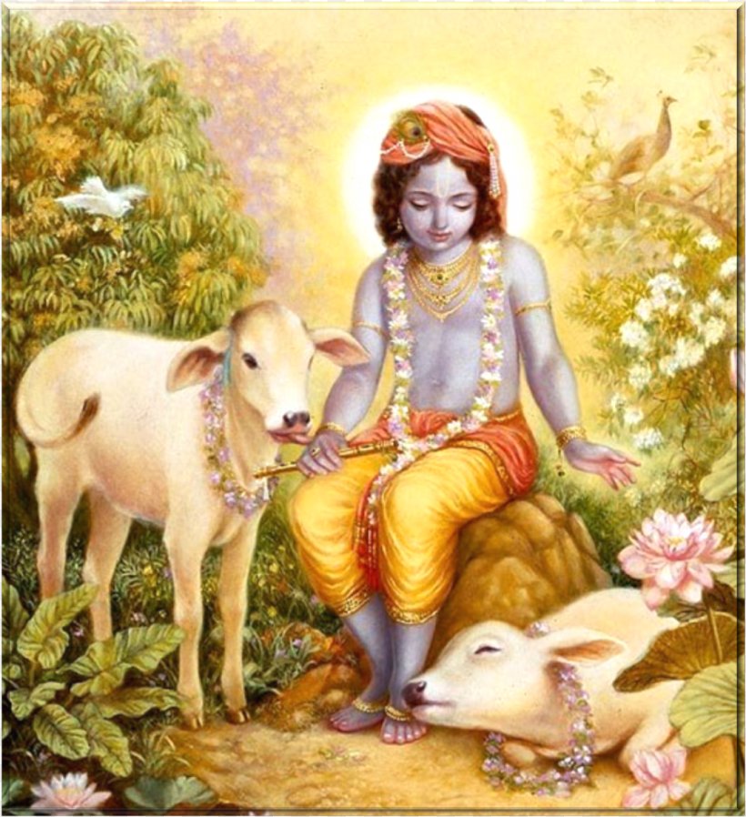 Highland Cattle Krishna Janmashtami Vrindavan Krsna, The Supreme Personality Of Godhead, PNG, 1082x1185px, Highland Cattle, Art, Bala Krishna, C Bhaktivedanta Swami Prabhupada, Cattle Download Free