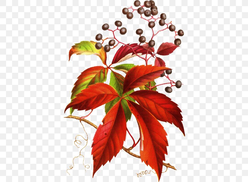 Leaf Flower Plant Red Tree, PNG, 600x600px, Leaf, Flower, Plant, Plant Stem, Red Download Free