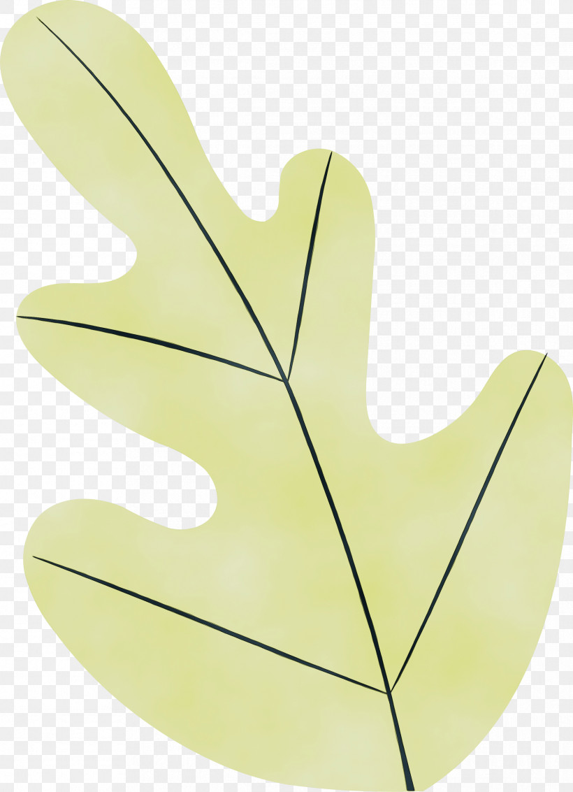 Leaf M-tree Tree Plant Structure Science, PNG, 2383x3295px, Watercolor, Biology, Leaf, Mtree, Paint Download Free