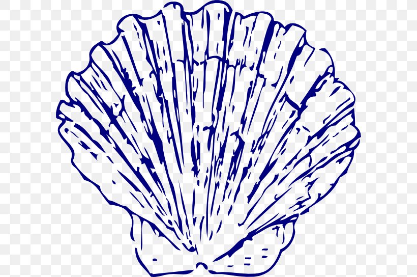 Seashell Blue Clip Art, PNG, 600x544px, Seashell, Area, Artwork, Black And White, Blog Download Free