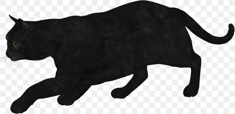 Black Cat Whiskers Domestic Short-haired Cat Terrestrial Animal, PNG, 1149x562px, Black Cat, Animal Figure, Big Cat, Big Cats, Black Download Free