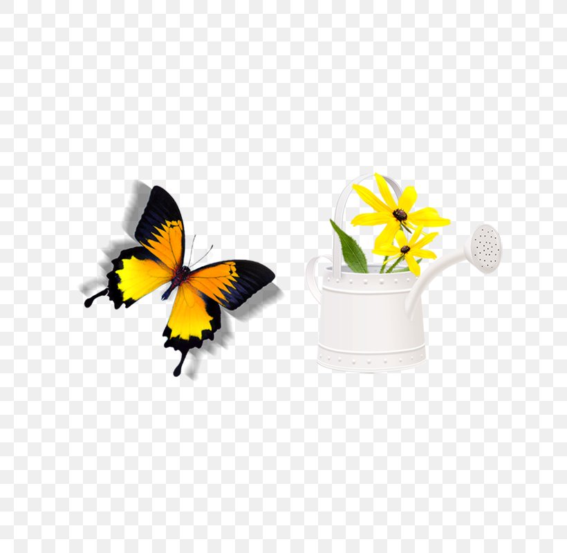 Download Icon, PNG, 800x800px, Template, Body Jewelry, Butterfly, Cut Flowers, Flower Download Free