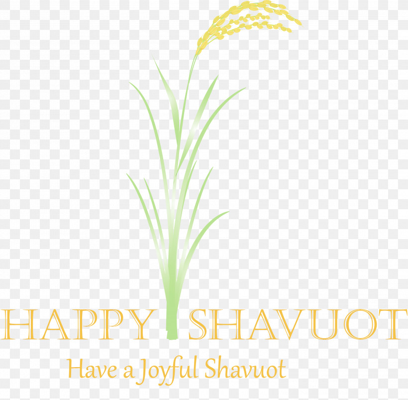 Grass Plant Grass Family Leaf Flower, PNG, 3000x2938px, Happy Shavuot, Flower, Grass, Grass Family, Leaf Download Free
