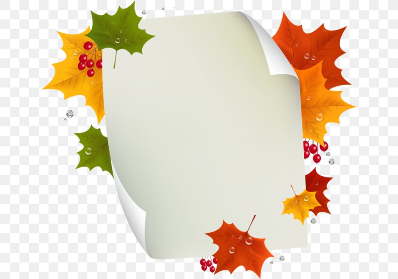 Leaf Clip Art, PNG, 650x574px, Leaf, Autumn Leaf Color, Maple Leaf, Orange, Photography Download Free