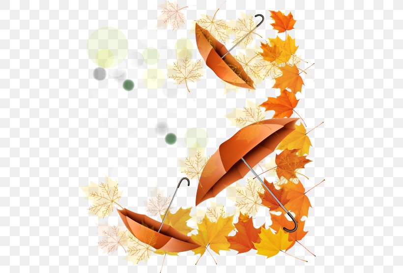 Autumn Illustration, PNG, 503x555px, Autumn, Art, Autumn Leaf Color, Flower, Leaf Download Free