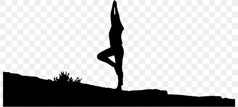 Exercise Health, Fitness And Wellness Yoga Vriksasana, PNG, 800x369px, Exercise, Arm, Balance, Black And White, Career Download Free