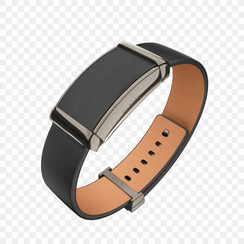 Watch Strap Bracelet Gold Jewellery, PNG, 3000x3000px, Watch Strap, Apple Watch, Belt Buckle, Bracelet, Clothing Download Free