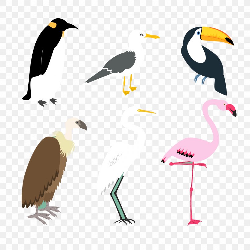 Bird, PNG, 3333x3333px, Bird, Beak, Fauna, Painting, Seabird Download Free