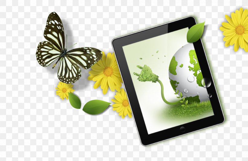 Download Google Images Computer File, PNG, 1248x811px, Google Images, Butterfly, Computer, Flora, Flower Download Free