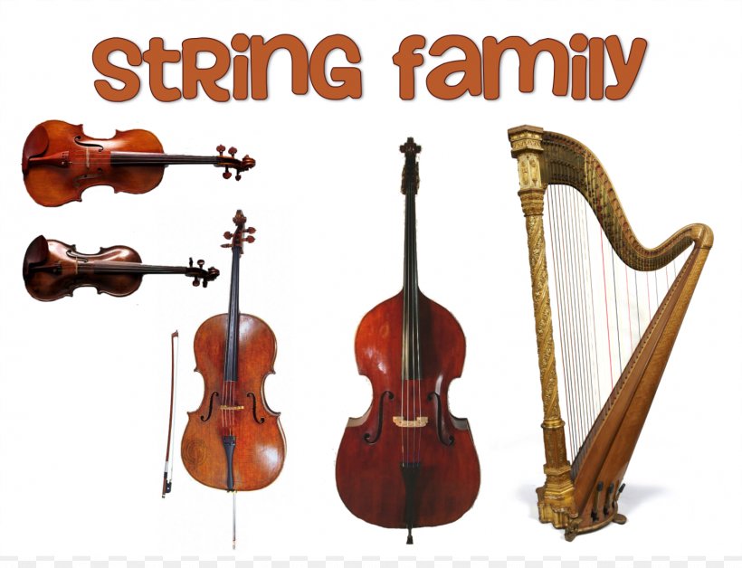 Family String Instruments Musical Instruments Orchestra Violin, PNG, 1502x1151px, Family, Bass Violin, Bowed String Instrument, Brass Instruments, Cello Download Free