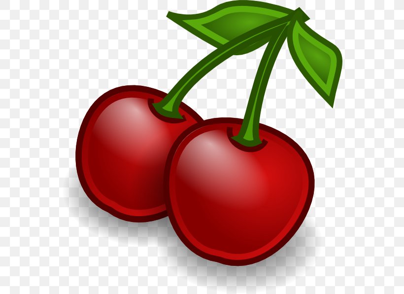 Fruit Free Content Clip Art, PNG, 570x596px, Fruit, Animation, Apple, Cherry, Food Download Free