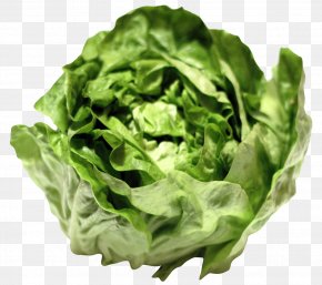 Lettuce - Hamilton Theft Police Officer Lettuce PNG