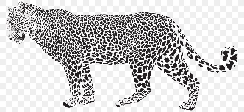Leopard Cheetah Vector Graphics Stock Photography Stock Illustration, PNG, 800x377px, Leopard, Animal Figure, Big Cats, Black, Black And White Download Free