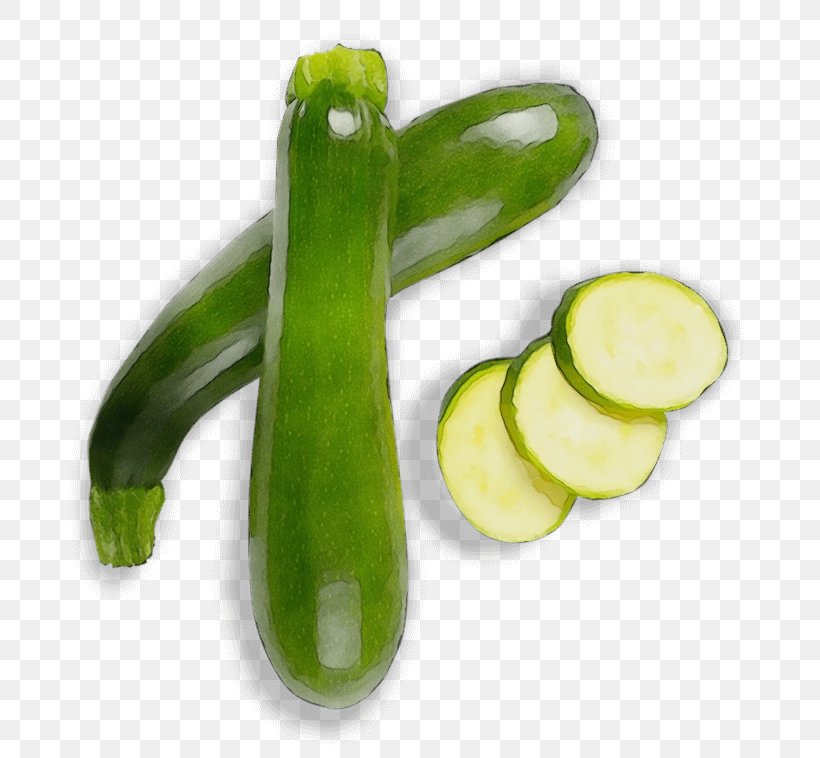 Vegetable Cucumber Plant Zucchini Cucumis, PNG, 720x758px, Watercolor, Cucumber, Cucumber Gourd And Melon Family, Cucumis, Food Download Free