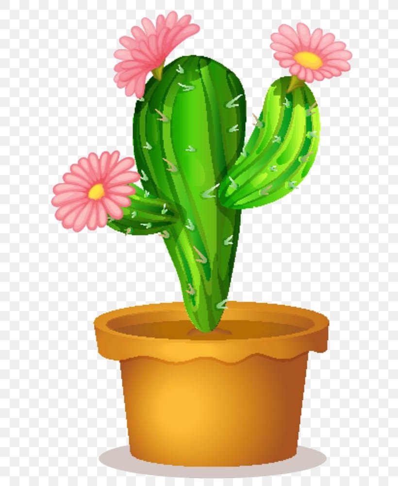 Cactaceae Succulent Plant Clip Art, PNG, 673x1000px, Cactaceae, Botanical Illustration, Cactus, Caryophyllales, Drawing Download Free
