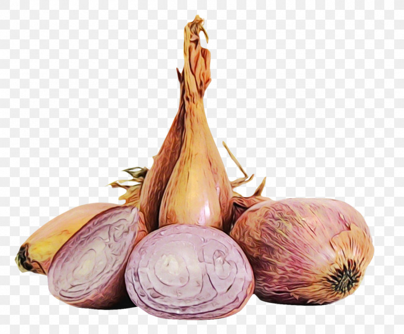 French Onion Soup Blanquette De Veau Coq Au Vin Vegetable Ingredient, PNG, 1280x1060px, Watercolor, Baking, Beurre Blanc, Blanquette De Veau, Coq Au Vin Download Free