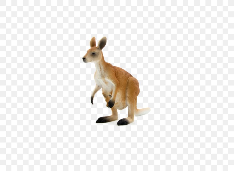 Macropods Red Kangaroo Stuffed Animals & Cuddly Toys, PNG, 600x600px, Macropods, Action Toy Figures, Animal, Animal Figurine, Animal Planet Download Free