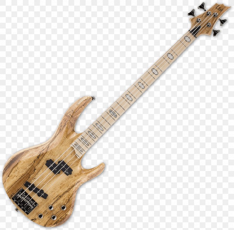 Musical Instruments Bass Guitar ESP LTD EC-1000 String Instruments, PNG, 929x915px, Watercolor, Cartoon, Flower, Frame, Heart Download Free