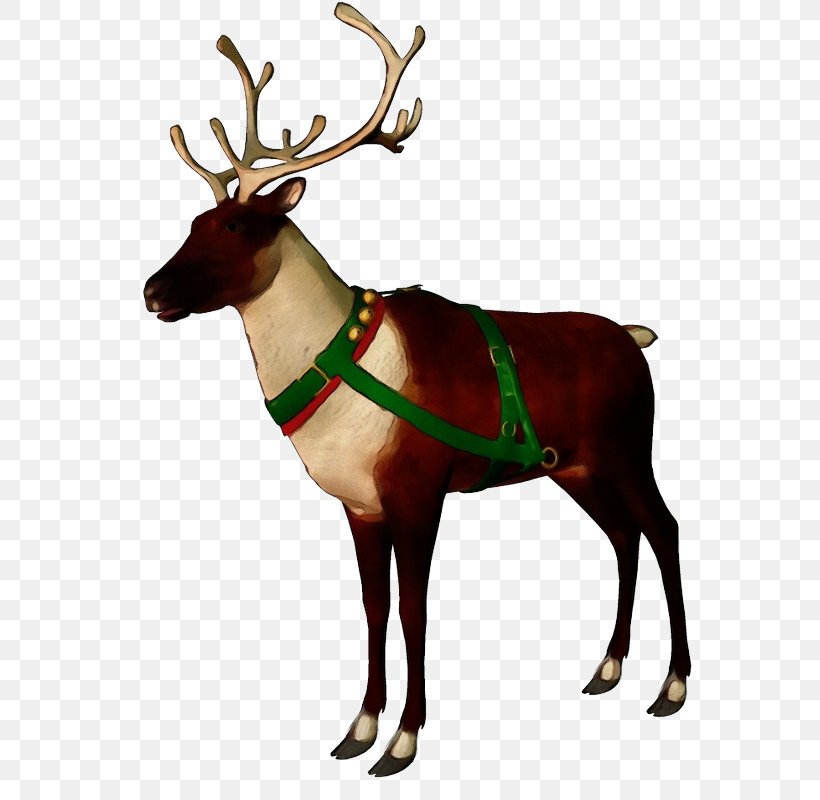 Reindeer, PNG, 635x800px, Watercolor, Antler, Deer, Elk, Horn Download Free