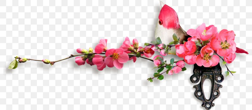 Floral Design Cut Flowers Image Painting, PNG, 800x358px, 2018, Floral Design, Artificial Flower, Blog, Blossom Download Free