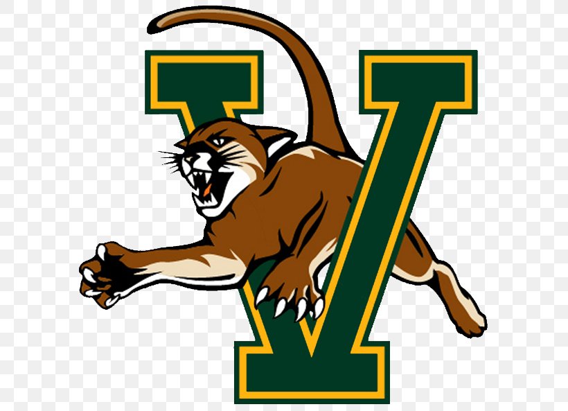 University Of Vermont Vermont Catamounts Men's Basketball Vermont Catamounts Men's Ice Hockey NCAA Division I Men's Basketball, PNG, 614x593px, University Of Vermont, America East Conference, Area, Artwork, Basketball Download Free
