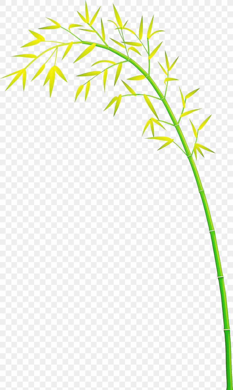 Bamboo Leaf, PNG, 1796x3000px, Bamboo, Flower, Grass, Grass Family, Leaf Download Free