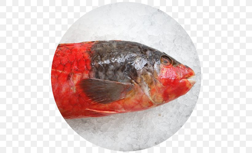 Fish Veja Restaurante Marisqueira Sea, PNG, 500x500px, Fish, Animal Source Foods, Blackspot Seabream, Restaurant, Sardine Download Free