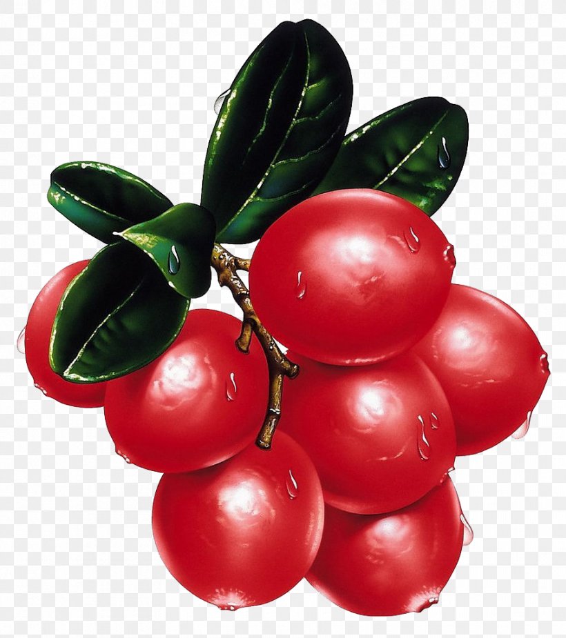 Fruit, PNG, 907x1024px, Fruit, Berry, Bush Tomato, Cartoon, Cherry Download Free