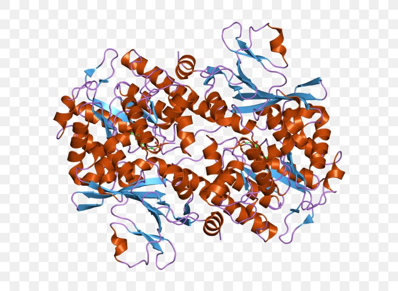 Nicotinamide Phosphoribosyltransferase Art Pre-B-cell Colony Enhancing Factor 1 Enzyme, PNG, 800x600px, Nicotinamide, Art, Art Museum, B Cell, Chanel Download Free