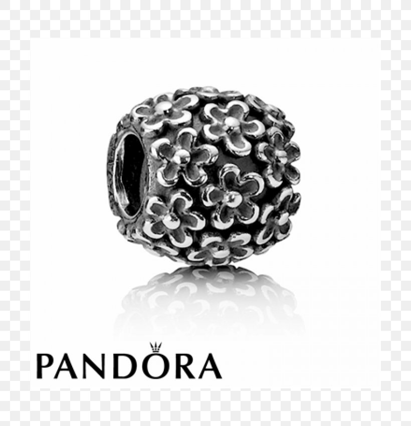 Pandora Charm Bracelet Flower Silver Jewellery, PNG, 700x850px, Pandora, Bead, Body Jewelry, Bracelet, Charm Bracelet Download Free