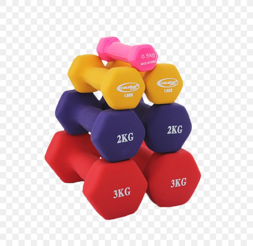 Dumbbell Barbell Exercise Equipment Weight Training Physical Exercise, PNG, 800x800px, Dumbbell, Arm, Barbell, Bodybuilding, Exercise Equipment Download Free
