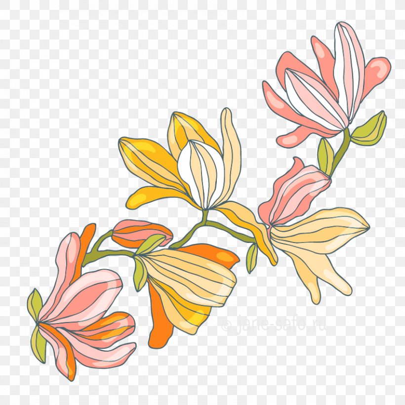 Flower Floral Design Clip Art, PNG, 850x850px, Flower, Art, Artwork, Cut Flowers, Flora Download Free