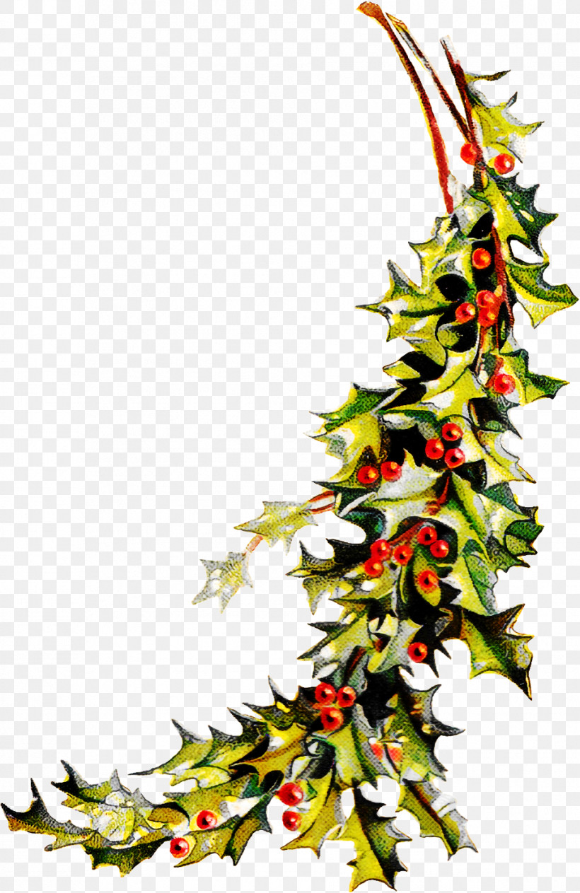 Christmas Decoration, PNG, 955x1472px, Plant, Branch, Christmas Decoration, Fir, Flower Download Free