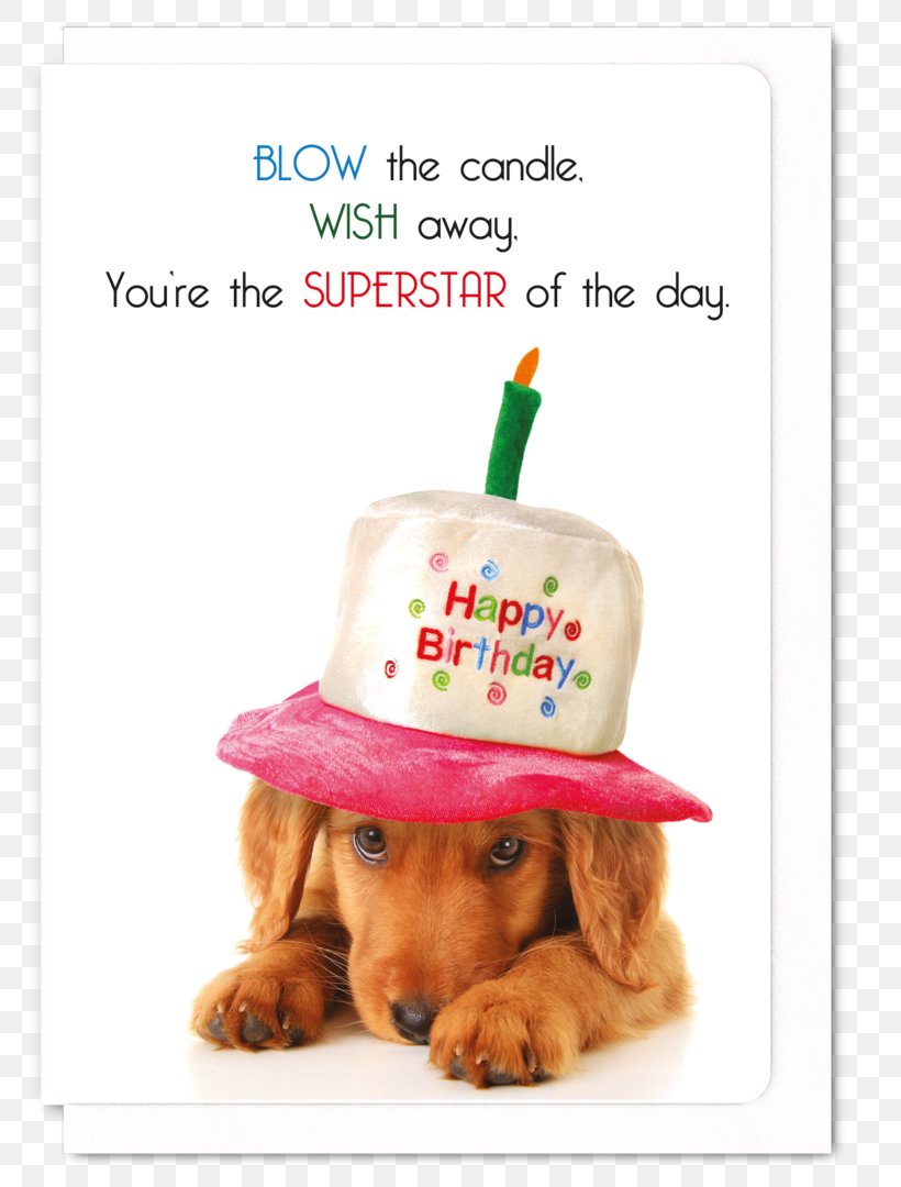 Dachshund Birthday Cake Puppy Golden Retriever, PNG, 809x1080px, Dachshund, Birthday, Birthday Cake, Carnivoran, Dog Download Free