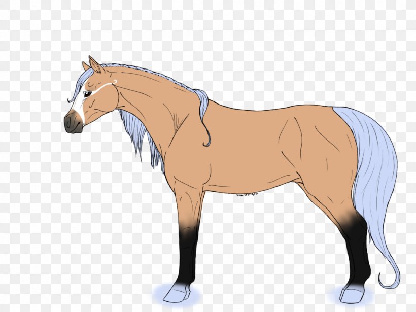 Foal Mare Stallion Mustang Colt, PNG, 1024x768px, Foal, Bridle, Cartoon, Character, Colt Download Free