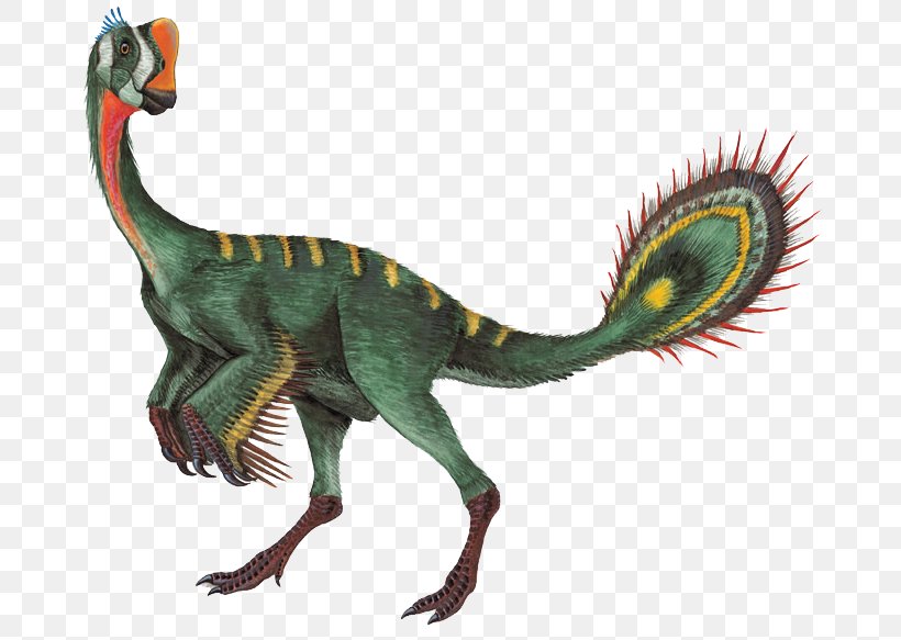 Nomingia Oviraptor Gigantoraptor Chirostenotes Conchoraptor, PNG, 700x583px, Oviraptor, Animal Figure, Caenagnathidae, Chirostenotes, Conchoraptor Download Free