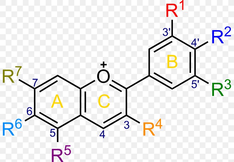 Ether Scutellarein Chemical Compound Metacresol Purple Organic Compound, PNG, 800x569px, Ether, Amine, Area, Blue, Cas Registry Number Download Free